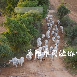 阜阳市司法协管员贴吧