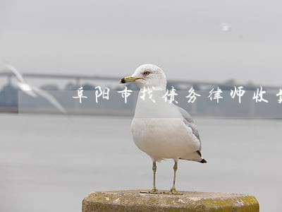 阜阳市找债务律师收费 阜阳市找债务律师收费