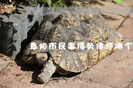 阜阳市民事债务律师哪个好 阜阳市民事债务律师哪个好