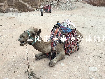 阜阳市民事债务律师推荐 阜阳市民事债务律师推荐