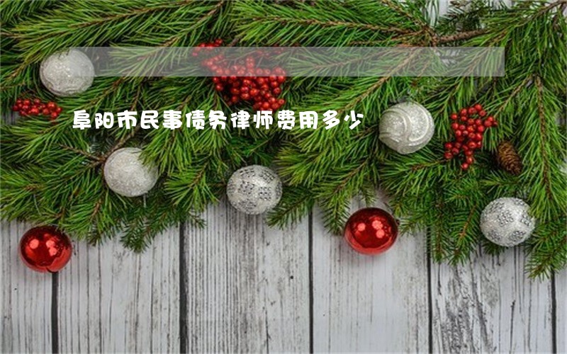 阜阳市民事债务律师费用多少 阜阳市民事债务律师费用多少