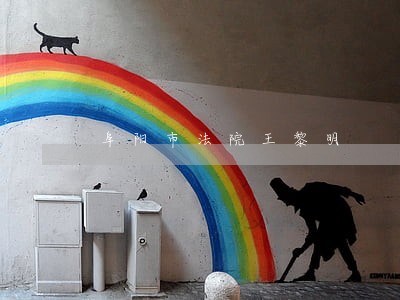 阜阳市法院王黎明