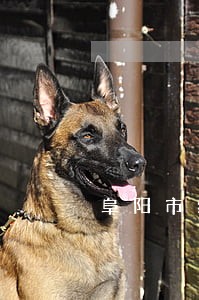 阜阳市纪委法规室汪国兵 阜阳市纪委法规室汪国兵
