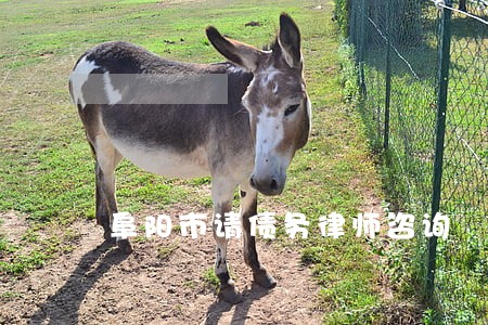 阜阳市请债务律师咨询 阜阳市请债务律师咨询