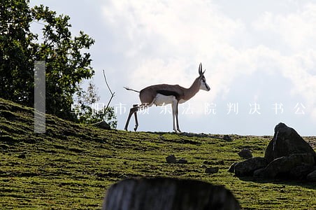 阜阳市颍东法院判决书公告