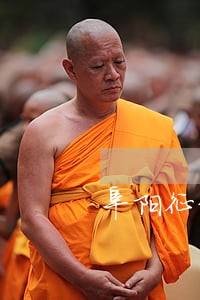 阜阳征信逾期修复 阜阳征信逾期修复