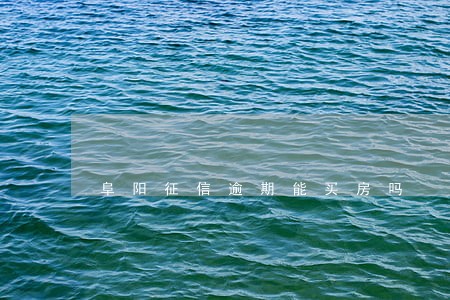 阜阳征信逾期能买房吗 阜阳征信逾期能买房吗