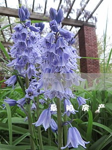 阜阳房产律师顾问排名 阜阳房产律师顾问排名