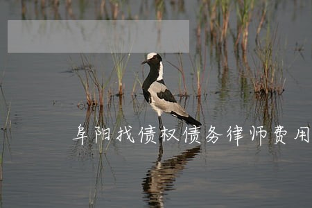 阜阳找债权债务律师费用多少 阜阳找债权债务律师费用多少