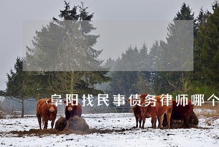 阜阳找民事债务律师哪个好 阜阳找民事债务律师哪个好
