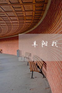 阜阳找离婚律师哪个好
