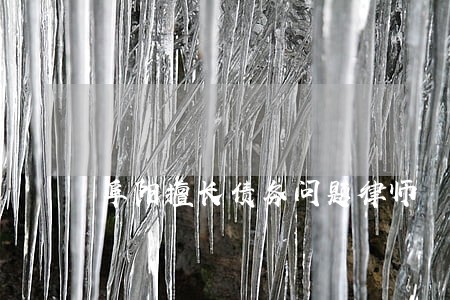 阜阳擅长债务问题律师 阜阳擅长债务问题律师