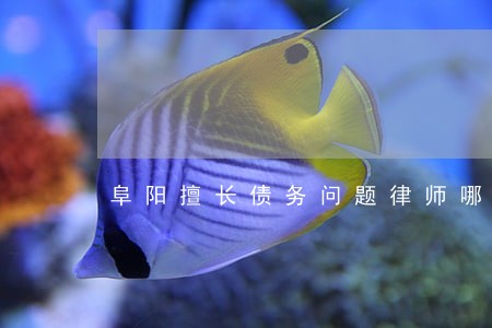 阜阳擅长债务问题律师哪个好 阜阳擅长债务问题律师哪个好