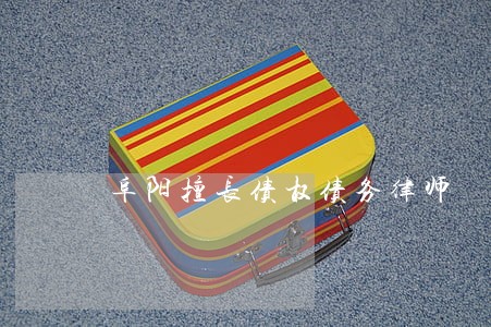 阜阳擅长债权债务律师 阜阳擅长债权债务律师