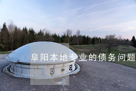 阜阳本地专业的债务问题律师 阜阳本地专业的债务问题律师