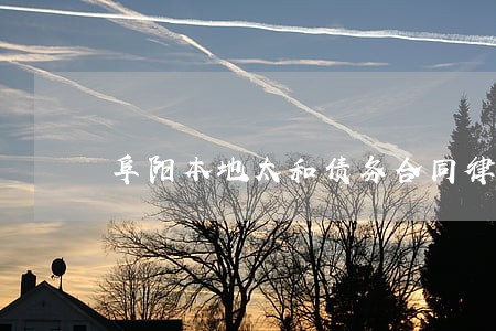 阜阳本地太和债务合同律师 阜阳本地太和债务合同律师