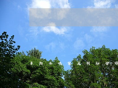阜阳本地家庭纠纷律师如何委托 阜阳本地家庭纠纷律师如何委托