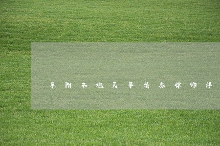 阜阳本地民事债务律师详情咨询 阜阳本地民事债务律师详情咨询