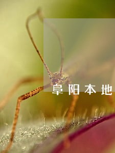 阜阳本地颍东债务律师团队 阜阳本地颍东债务律师团队