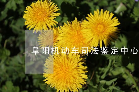 阜阳机动车司法鉴定中心电话