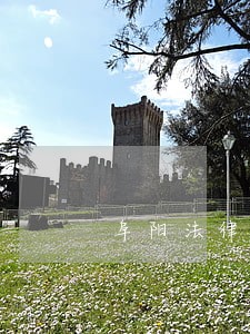 阜阳法律咨询律师 阜阳法律咨询律师