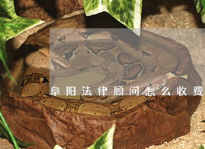阜阳法律顾问怎么收费 阜阳法律顾问怎么收费