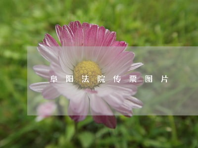 阜阳法院传票图片 阜阳法院传票图片