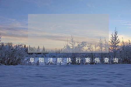 阜阳法院执行案件查询