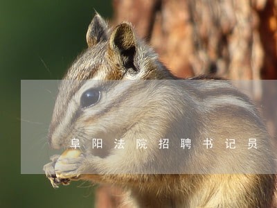 阜阳法院招聘书记员