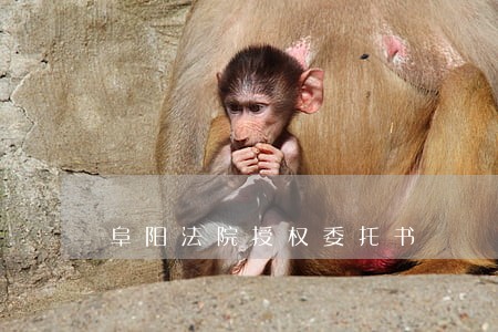 阜阳法院授权委托书 阜阳法院授权委托书