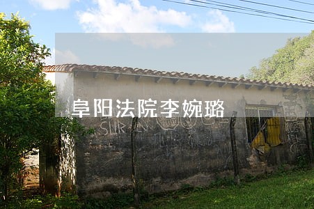 阜阳法院李婉璐