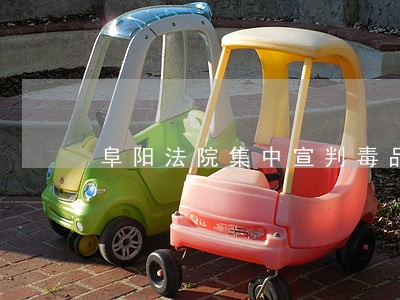 阜阳法院集中宣判毒品犯罪案