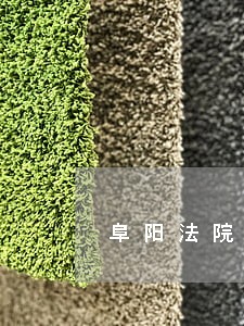 阜阳法院项目 阜阳法院项目