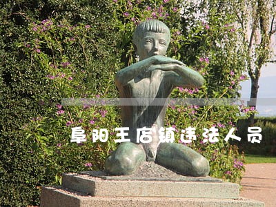 阜阳王店镇违法人员 阜阳王店镇违法人员