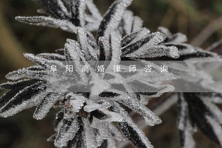阜阳离婚律师咨询 阜阳离婚律师咨询