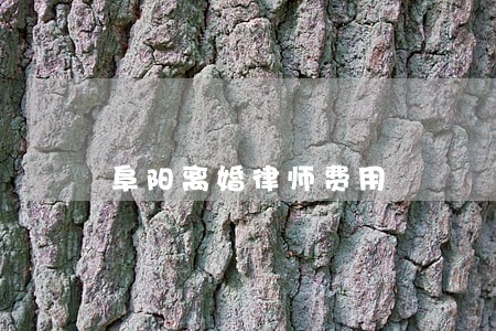 阜阳离婚律师费用