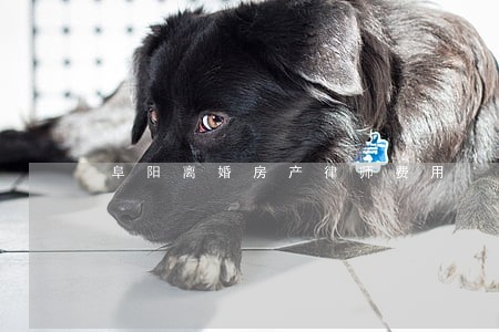 阜阳离婚房产律师费用 阜阳离婚房产律师费用