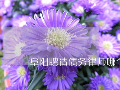 阜阳聘请债务律师哪个好 阜阳聘请债务律师哪个好