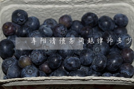 阜阳请债务问题律师多少钱 阜阳请债务问题律师多少钱