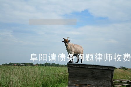 阜阳请债务问题律师收费