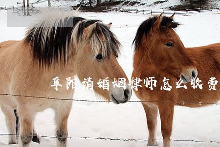 阜阳请婚姻律师怎么收费 阜阳请婚姻律师怎么收费