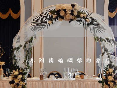 阜阳请婚姻律师费用 阜阳请婚姻律师费用