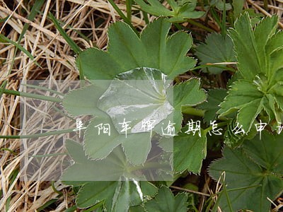 阜阳车牌逾期怎么申请 阜阳车牌逾期怎么申请