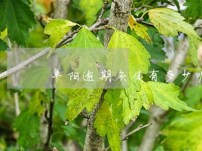 阜阳逾期负债有多少呢 阜阳逾期负债有多少呢