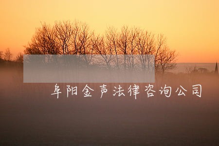 阜阳金声法律咨询公司