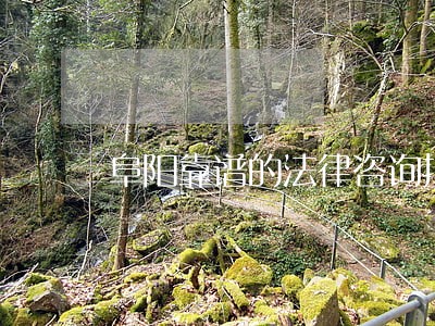 阜阳靠谱的法律咨询报价 阜阳靠谱的法律咨询报价
