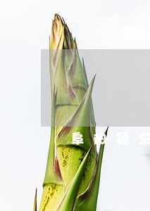 阜阳颍东法院丁晓倩 阜阳颍东法院丁晓倩