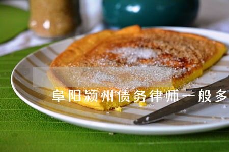 阜阳颍州债务律师一般多少钱 阜阳颍州债务律师一般多少钱