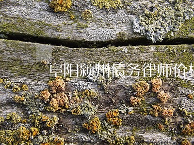 阜阳颍州债务律师价格 阜阳颍州债务律师价格