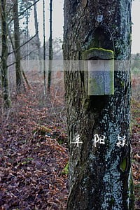 阜阳颍州债务律师电话 阜阳颍州债务律师电话